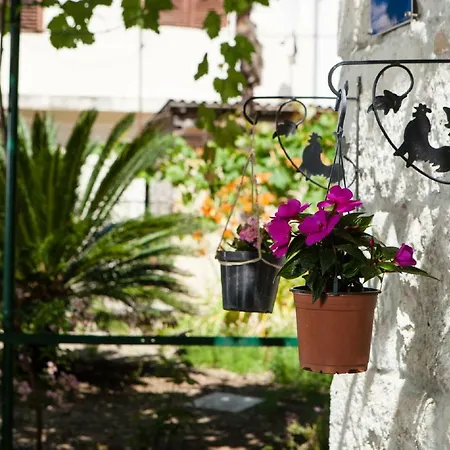 Downtown Authentic * Split