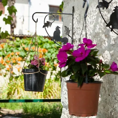 Downtown Authentic * Split