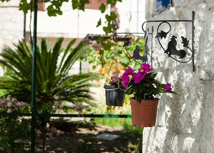 Downtown Authentic * Split