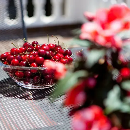 Downtown Authentic Lägenhet