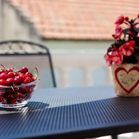 Downtown Authentic Lägenhet *