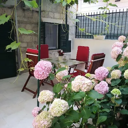 Downtown Authentic 스플리트